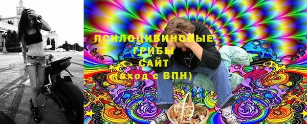 стаф Протвино