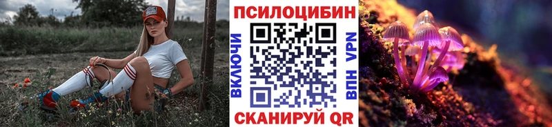 Купить закладки  Изобильный  Галлюциногенные грибы Psilocybe 